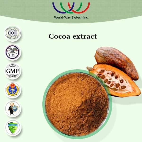 Best Quality Cocoa Seed Extract Powder Used in The Production of Cake, Ice-Cream, Biscuits, Chocolate and Cocoa