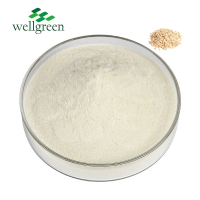 Wellgreen Supply Poudre d'avoine d'enzymolyse d'hydrolyse pure de qualité alimentaire pour le chocolat de crème glacée au lait de café