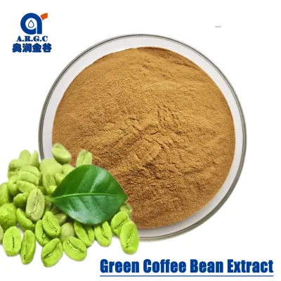 Poudre d'extrait de grain de café vert de haute qualité de vente chaude