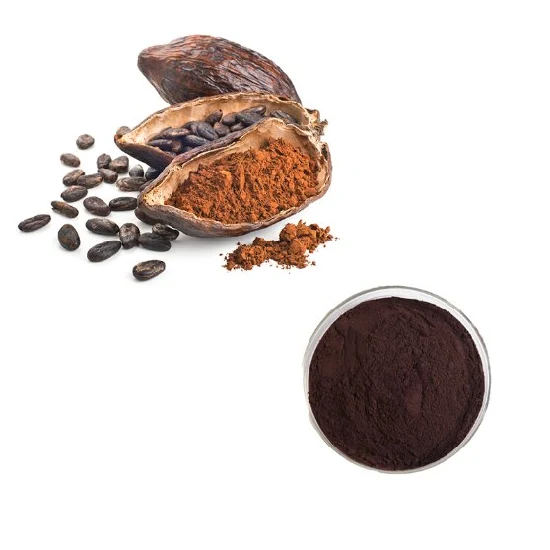 Poudre d'extrait de graines de cacao de la meilleure qualité utilisée dans la production de gâteaux, glaces, biscuits, chocolat et cacao