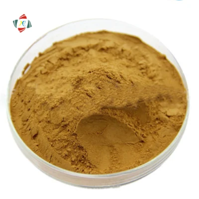 Wuhan Hhd Supply Poudre d'extrait de grain de café vert 100% naturel